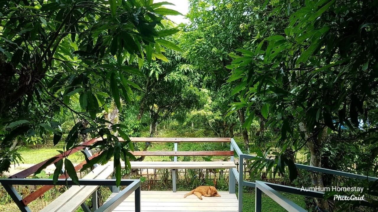 Aum Hum Homestay Fang Экстерьер фото