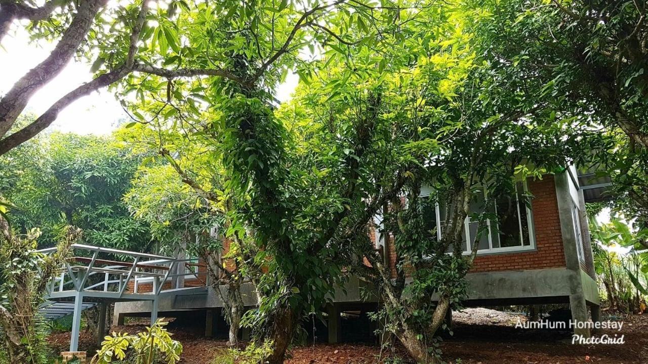 Aum Hum Homestay Fang Экстерьер фото