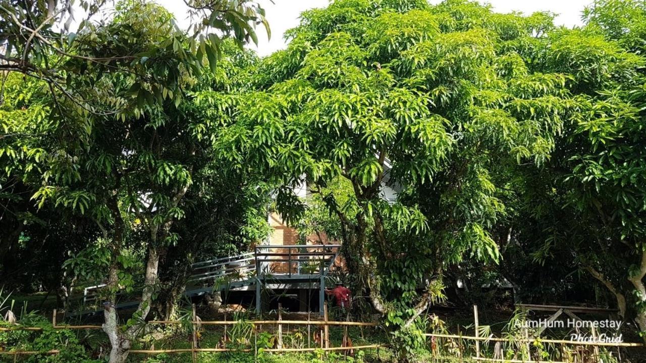 Aum Hum Homestay Fang Экстерьер фото