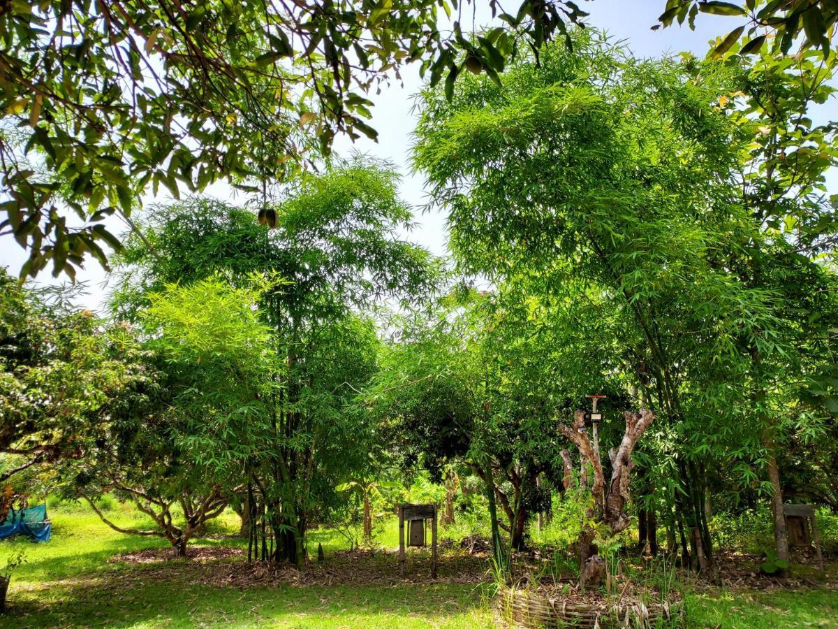 Aum Hum Homestay Fang Экстерьер фото