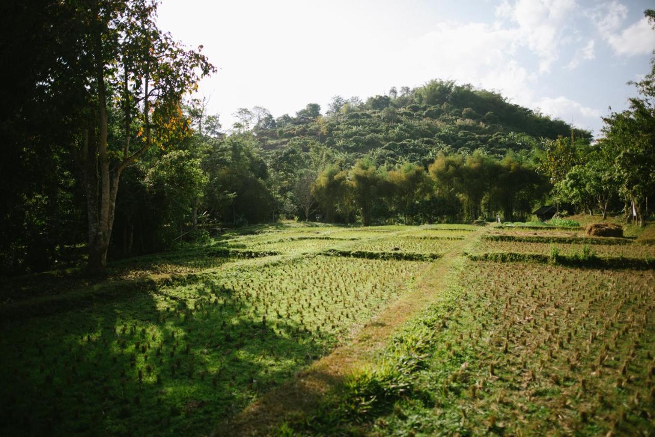Aum Hum Homestay Fang Экстерьер фото