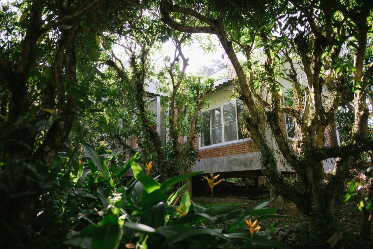 Aum Hum Homestay Fang Экстерьер фото