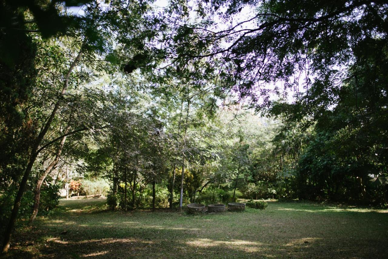 Aum Hum Homestay Fang Экстерьер фото