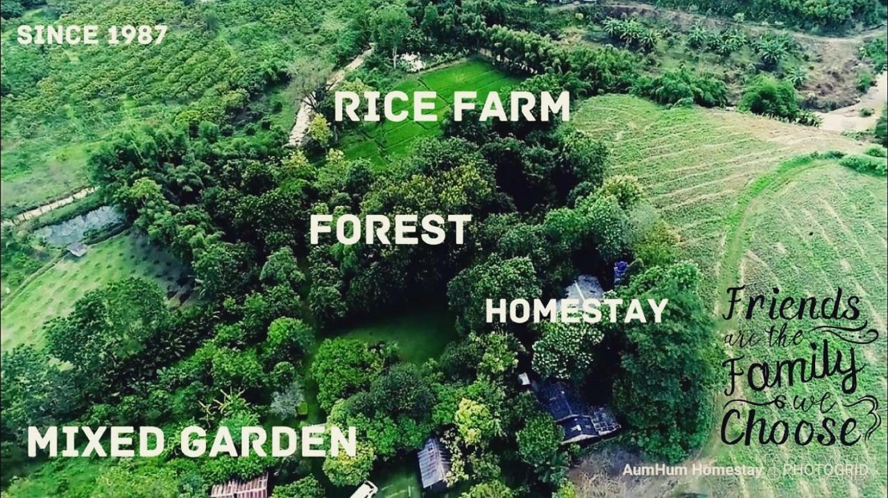 Aum Hum Homestay Fang Экстерьер фото