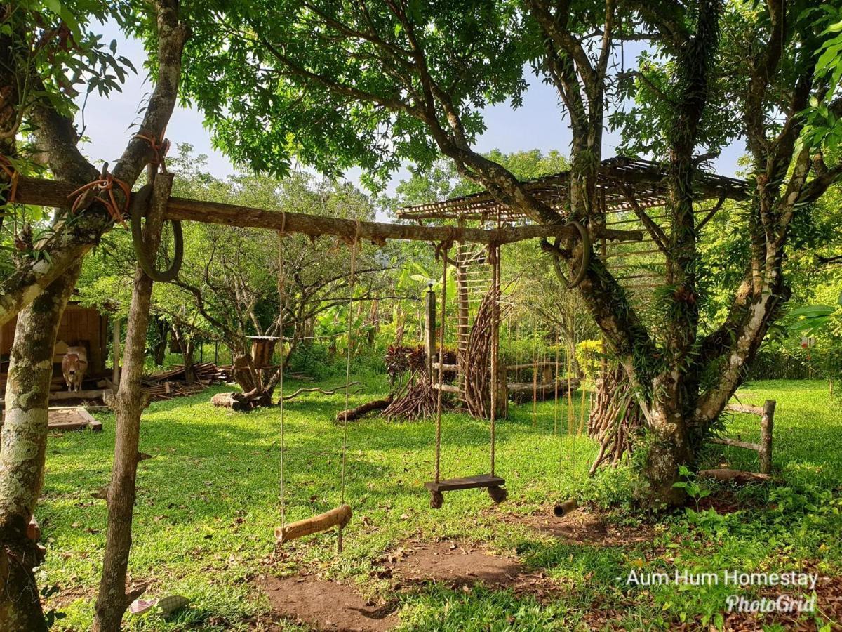 Aum Hum Homestay Fang Экстерьер фото