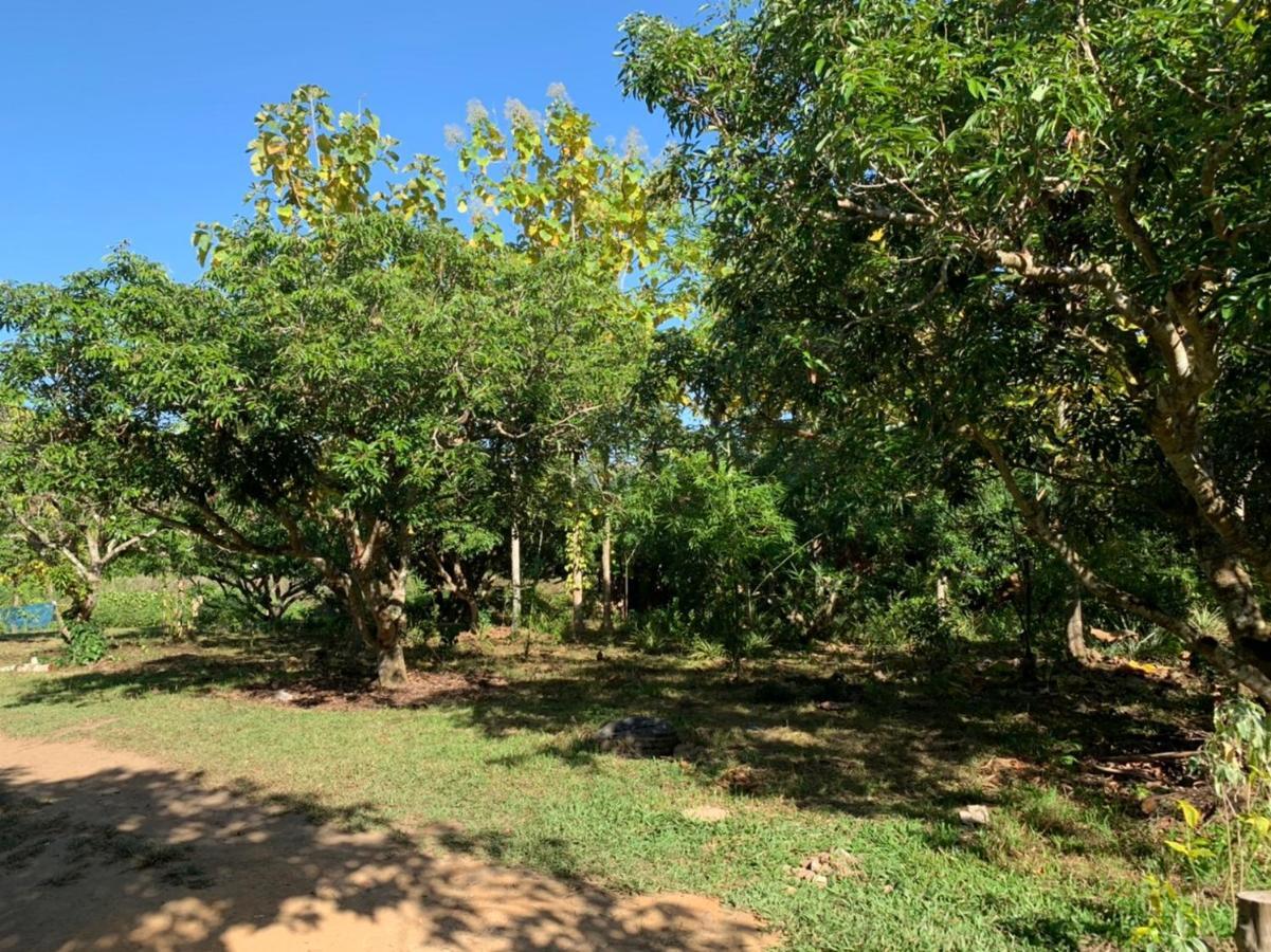 Aum Hum Homestay Fang Экстерьер фото